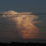 DSC00677
