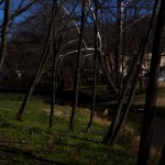 DSC02741