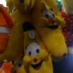 DSC04004