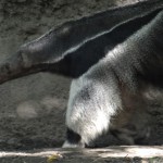 DSC04089