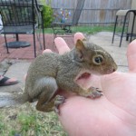 IMG_0560