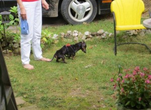 IMG_0761