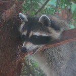 IMG_1053