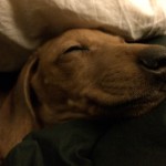 IMG_0457