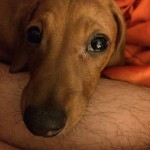 IMG_0557