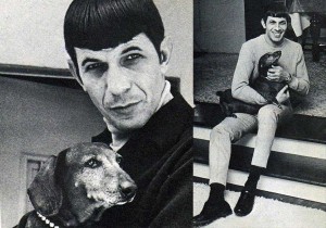 Leonard-Nimoy-with-his-dachshund